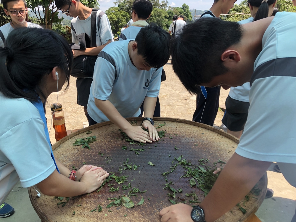 109.7.1深坑炮子崙步道遊程體驗暨茶藝研習活動