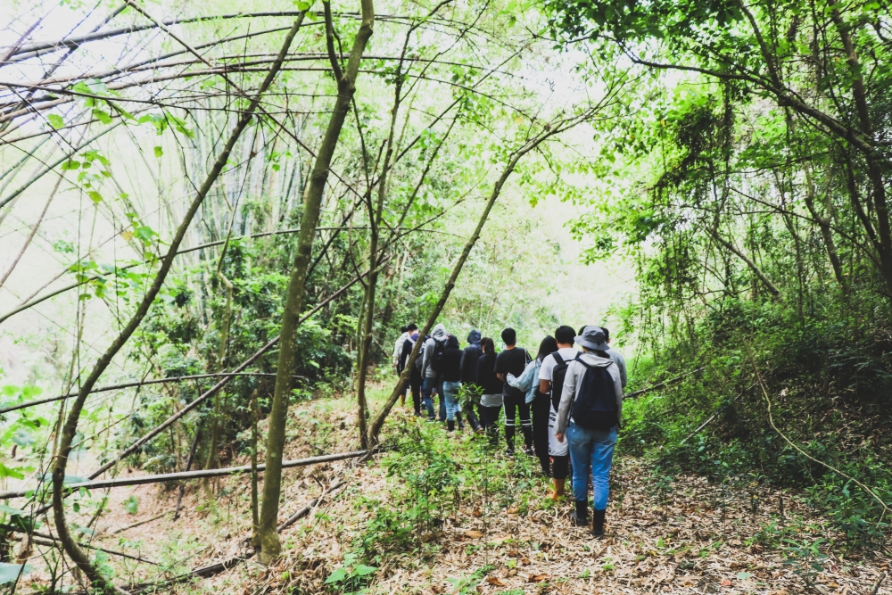 糖鐵線踏勘探索左鎮遺產旅遊發展潛力