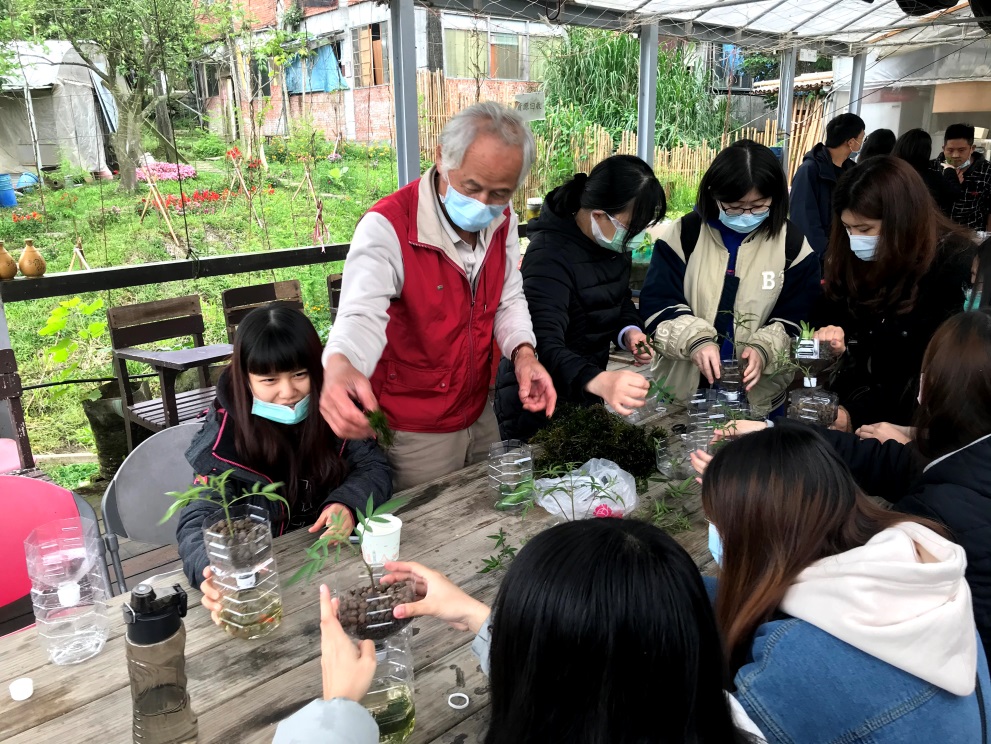 在忠寮社區中，加上發泡煉石、魚、隨處可以發現的芳香萬壽菊(插枝即可)。，就能製做成「魚菜共生瓶」。