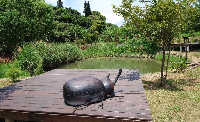 位於新北市淡水的「忠寮」社區，，區內擁有獨一無二的獨角仙生態公園，小朋友們看到都不想離開了。