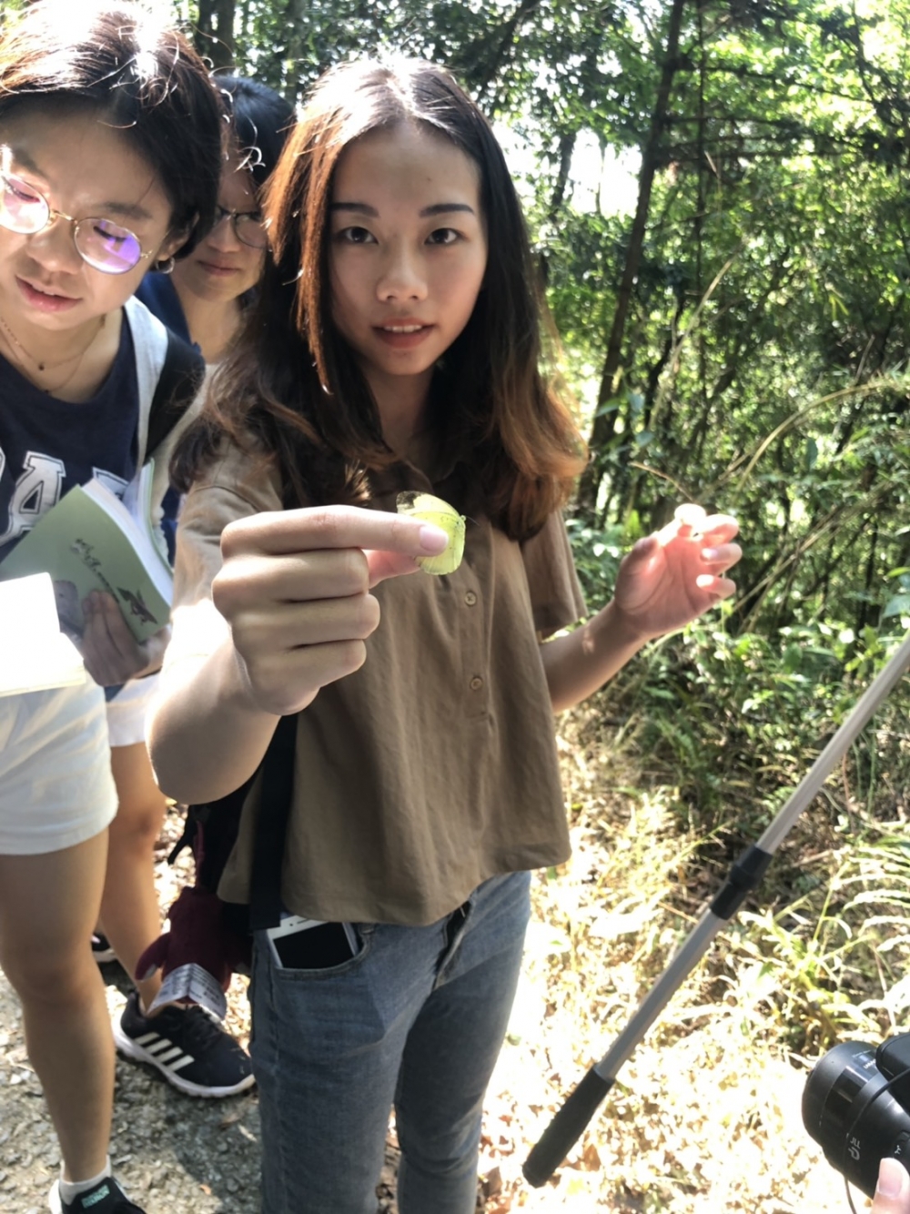 生態保育修課學生了解蝴蝶