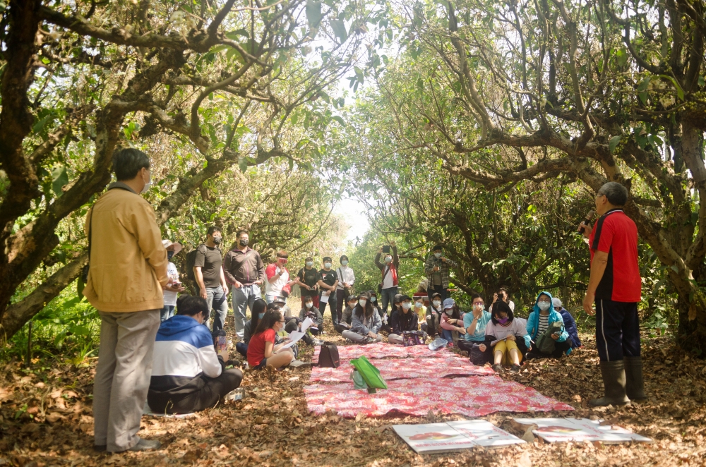 計畫團隊帶領同修課的同學進入哄哄叮噹蓮霧園，尋找農家菜、香氛材料及農場符號設計的元素。