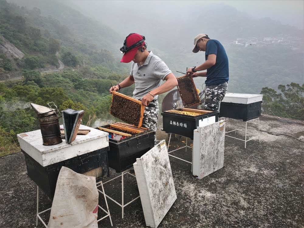 林下經濟學生團隊參與佳暮部落尋蜂工作