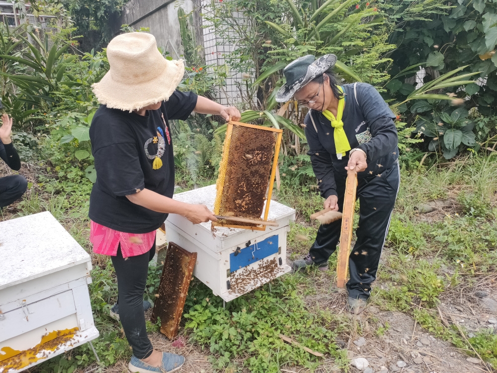 霧台鄉佳暮部落族人養蜂