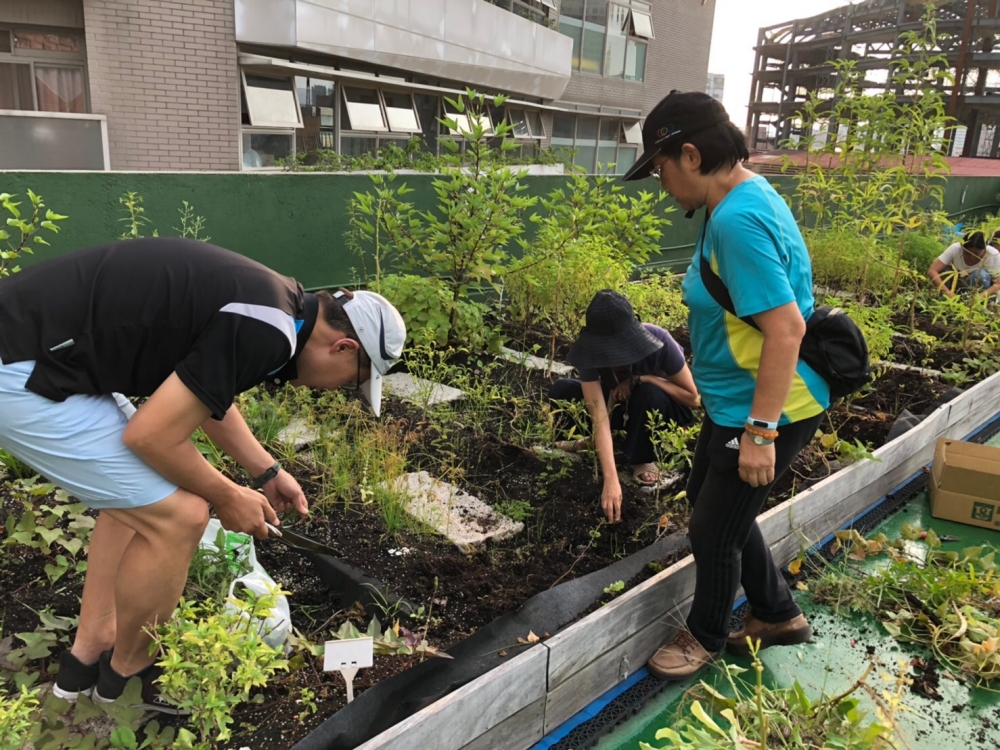 翻翻土、除除草，再將一顆顆菜苗種下土，慢慢迎接採收的那天到來。